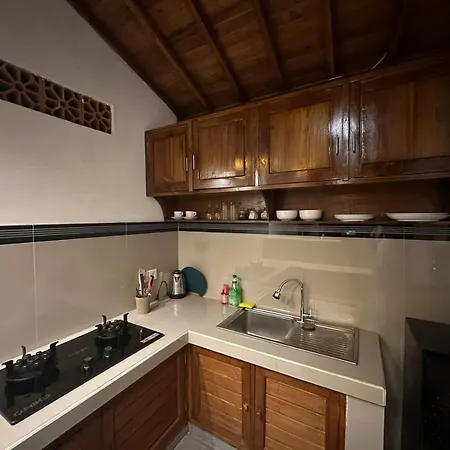 Onang Aning Villa Ubud Exterior photo