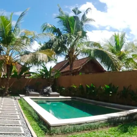 Onang Aning Villa Ubud Exterior photo