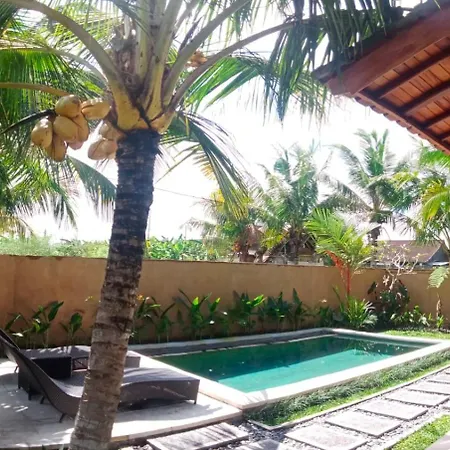 Onang Aning Villa Ubud Exterior photo